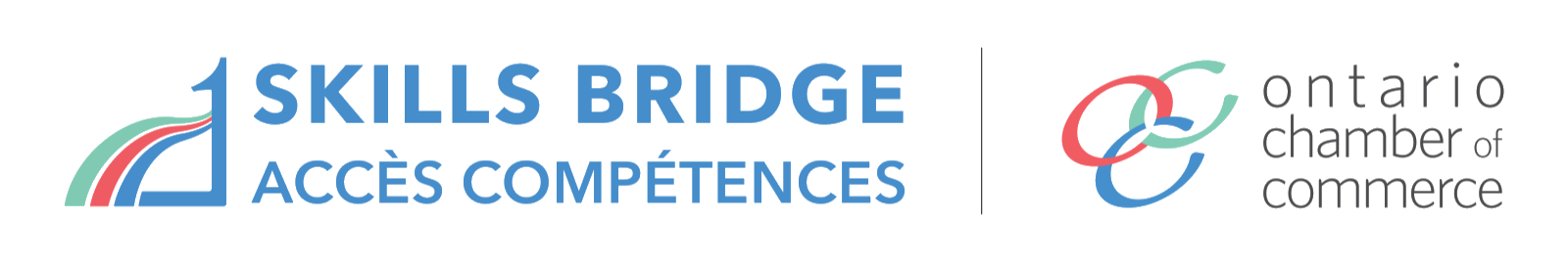 Skills Bridge