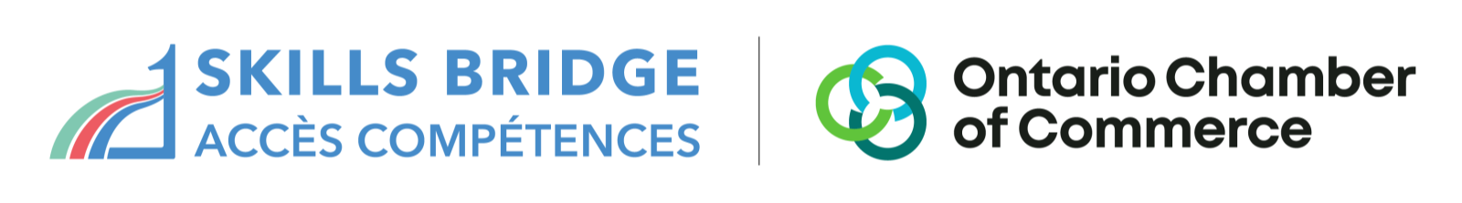 Skills Bridge